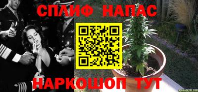 ECSTASY Кунгур