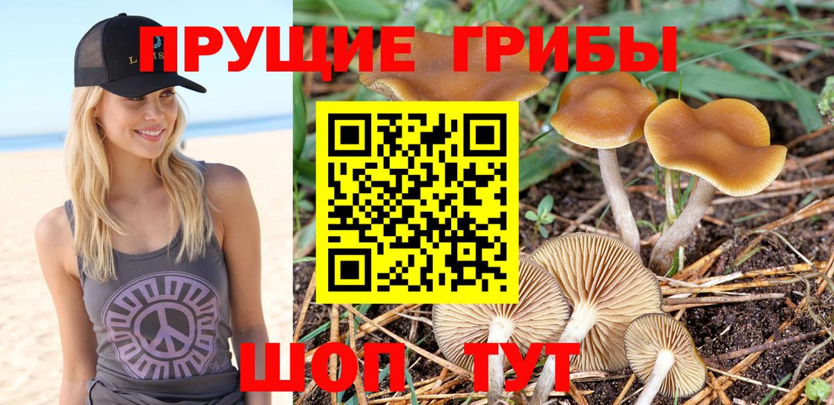 Дедовск  Галлюциногенные грибы мицелий  Вход с VPN  Галлюциногенные грибы MAGIC MUSHROOMS 