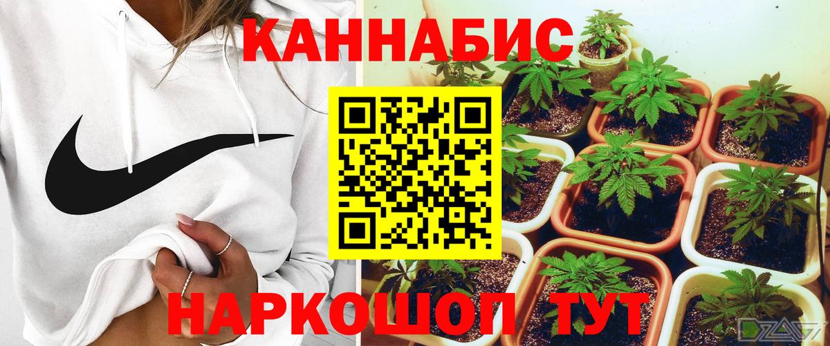 Шишки марихуана Ganja  Бошки Шишки MAZAR  Вход с VPN  Дедовск 